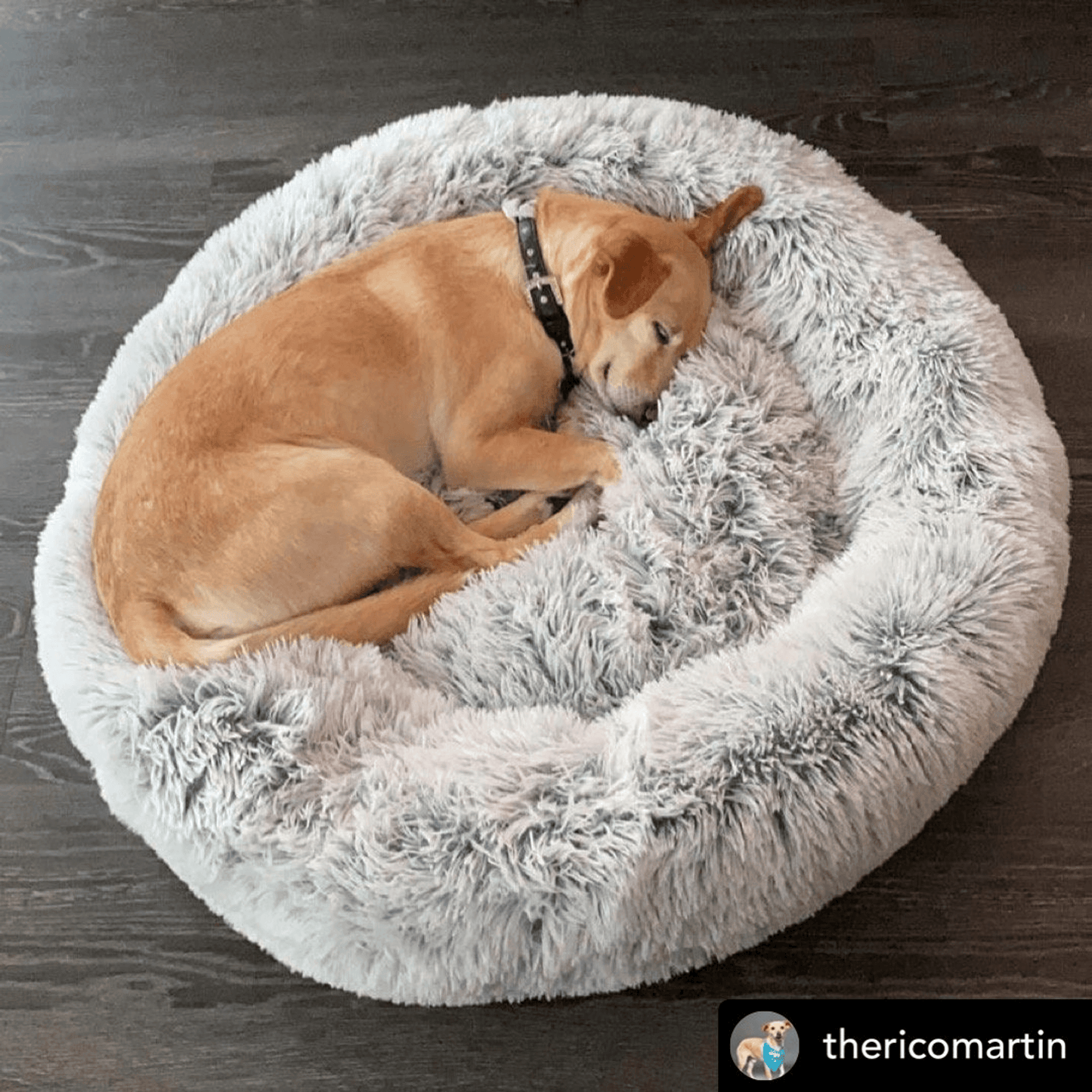 Mr. Peanut's OrthoPlush Pet Bed for Superior Comfort and Spinal Support