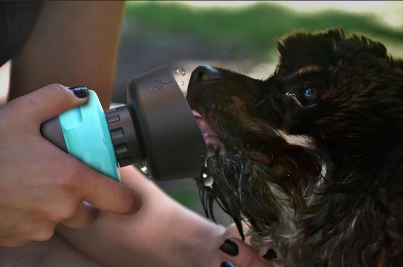 Pet Oasis: Foldable Dog Travel Water Bottle And Dispenser