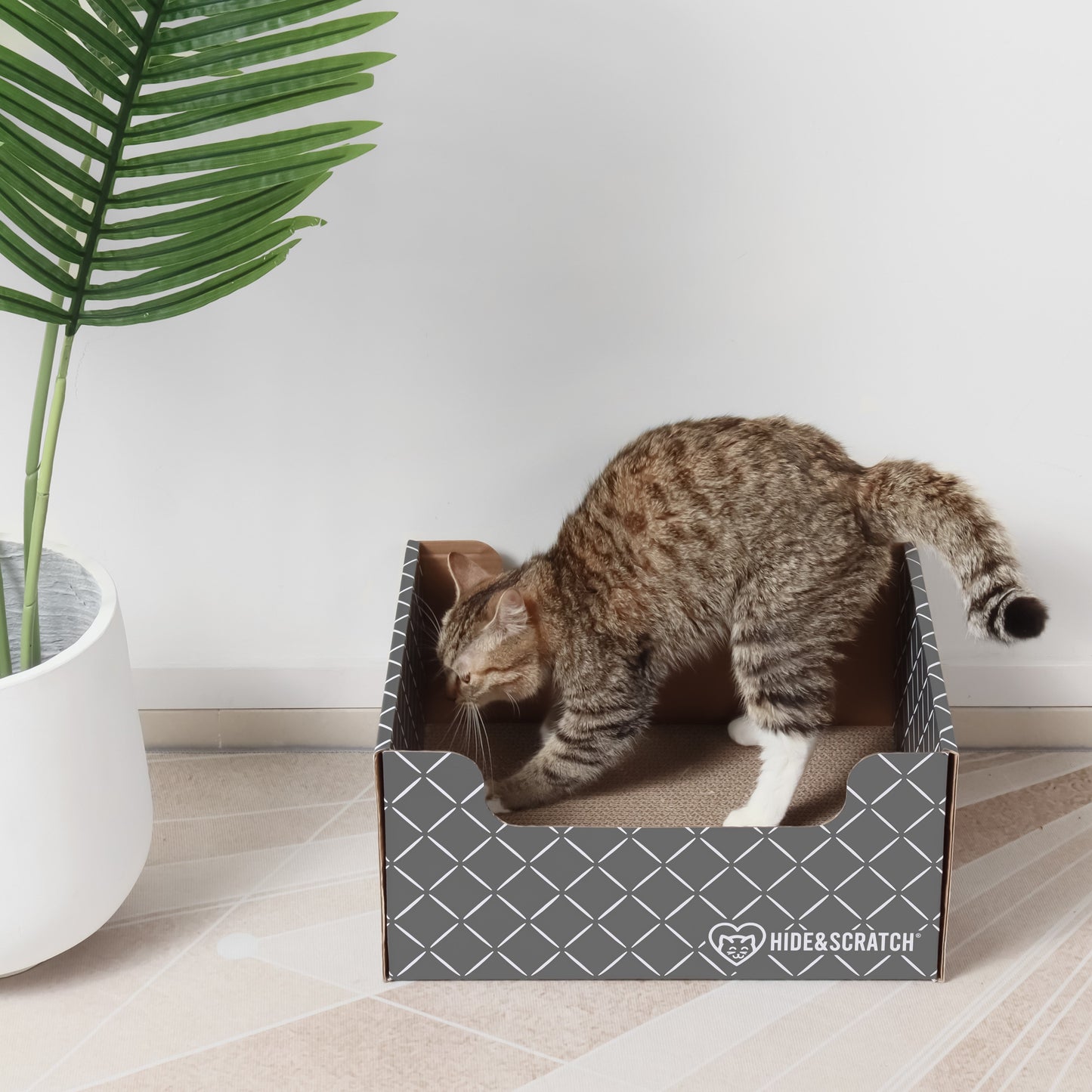 Hide & Scratch Cat Scratcher Box Value Pack (Case Pack of 7)