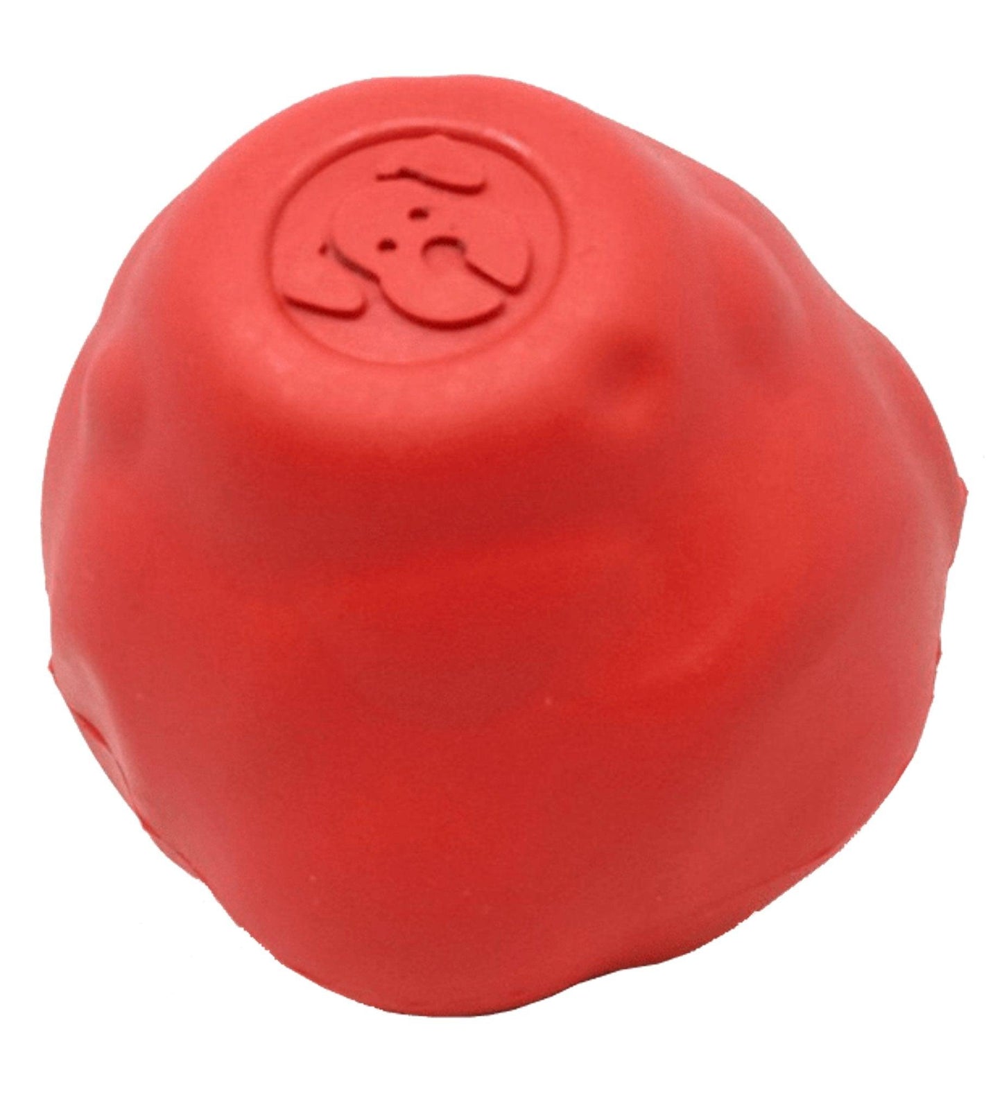 Asteroid Ultra Durable Rubber Chew Toy for Active Dogs