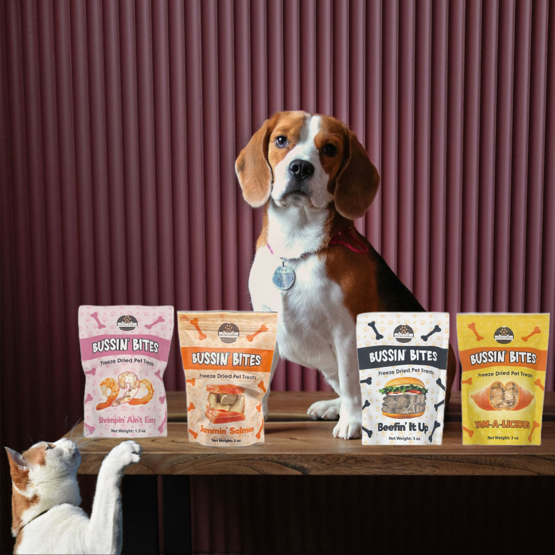 Freeze Dried Dog & Cat Treats – Single Ingredient, High Protein, Grain Free | Natural Cat & Dog Training Snacks, Human-Grade Shrimp