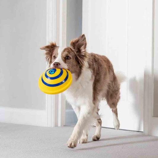 Wooftunes Interactive Sound Dog Toy: Engaging Entertainment For Your Furry Friend