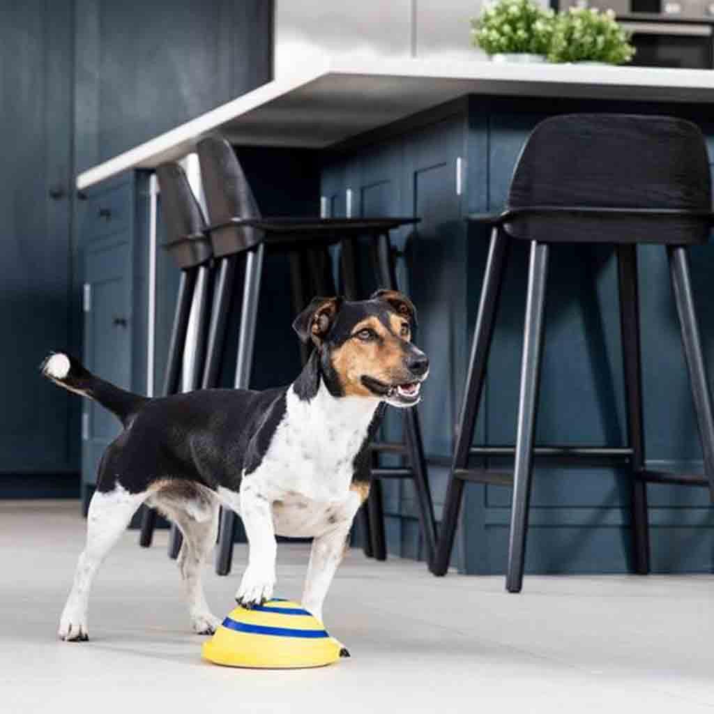 Wooftunes Interactive Sound Dog Toy: Engaging Entertainment For Your Furry Friend