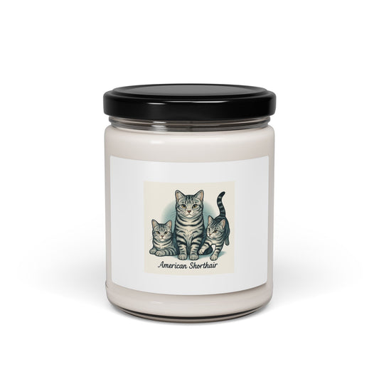 American Shorthair Cat Scented Soy Candle - Cozy Home Decor, Pet Lover Gift, Relaxation, Cat Themed, Birthday