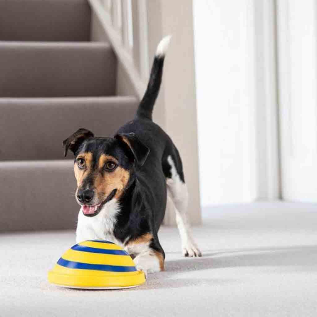 Wooftunes Interactive Sound Dog Toy: Engaging Entertainment For Your Furry Friend