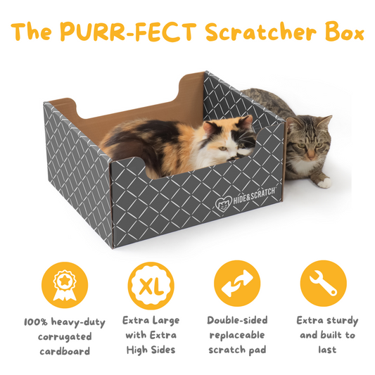 Hide & Scratch Cat Scratcher Box Value Pack (Case Pack of 7)