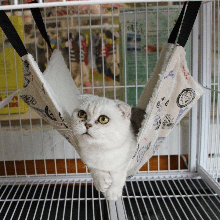 7 Colors Cozy Chill Cat Hammock - Soft And Warm Pet Bed Mat