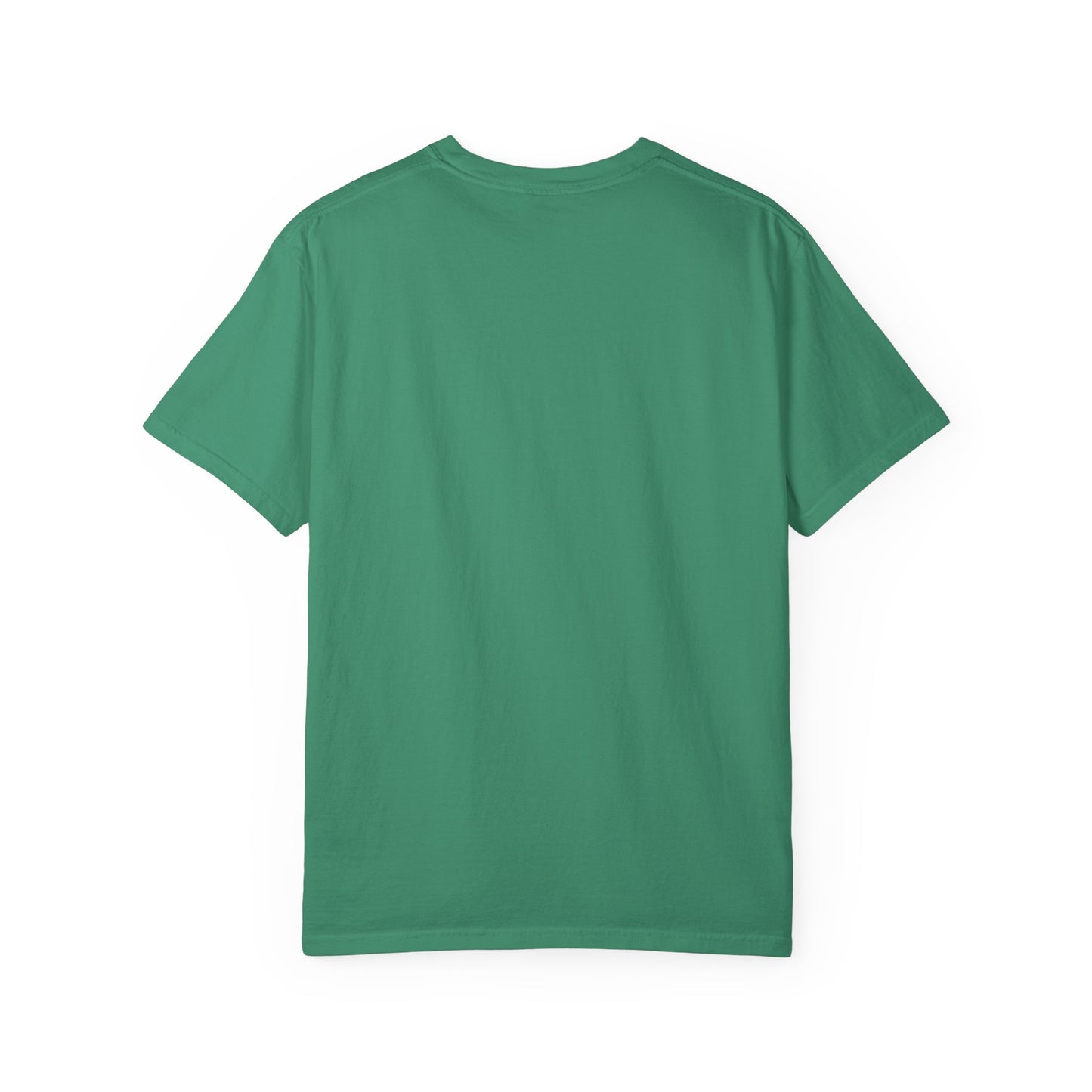 Scottish Fold Cat T-shirt, Cute Cat Lover Gift, Pet Lover Apparel, Cozy Everyday Wear, Unisex Casual Tee