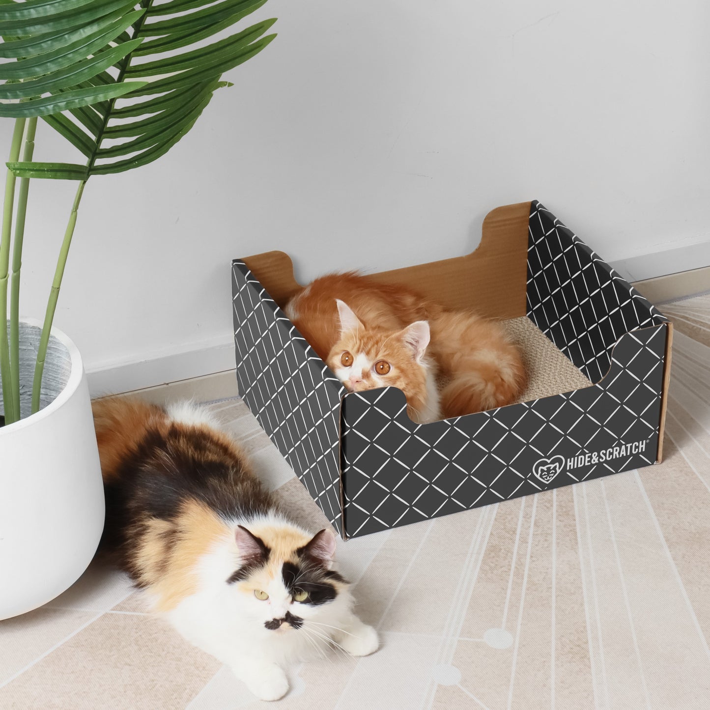 Hide & Scratch Cat Scratcher Box Value Pack (Case Pack of 7)