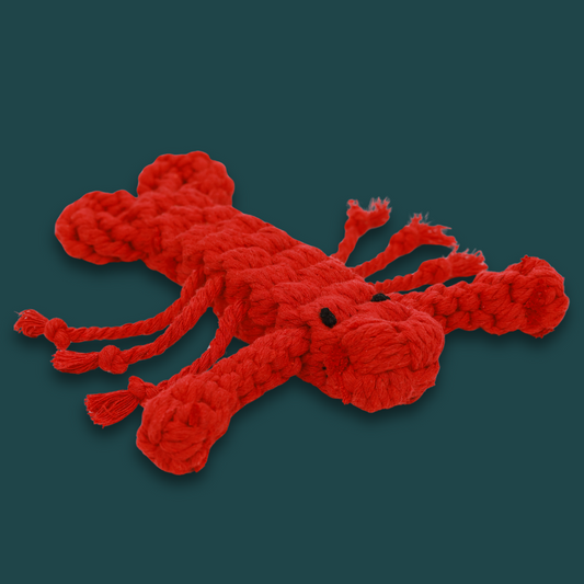 Rose the Lobster Pet Rope Toys
