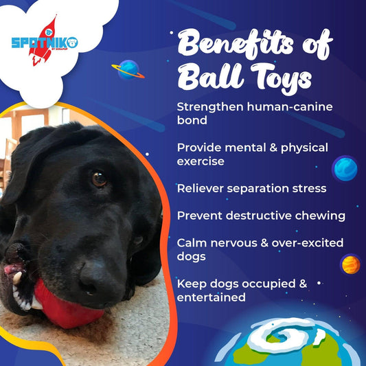 Asteroid Ultra Durable Rubber Chew Toy for Active Dogs