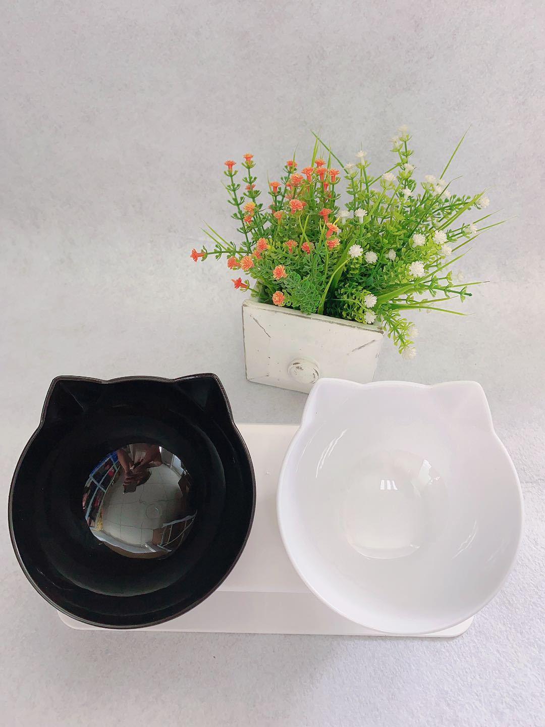 Cat Double Bowl - The Perfect Companion For Your Feline Friend