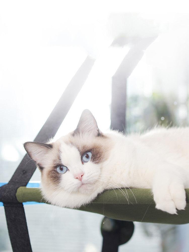 Cozycat Window Perch - The Ultimate Hangout Spot For Your Feline Friend