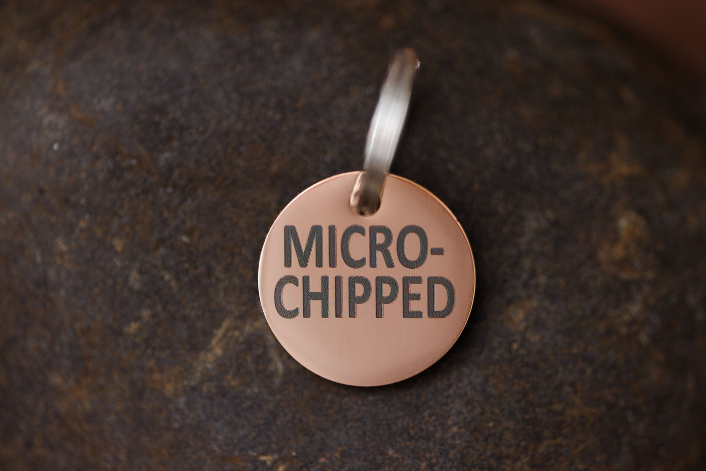 Stainless Steel "MICROCHIPPED" and "I'm Chipped" tags
