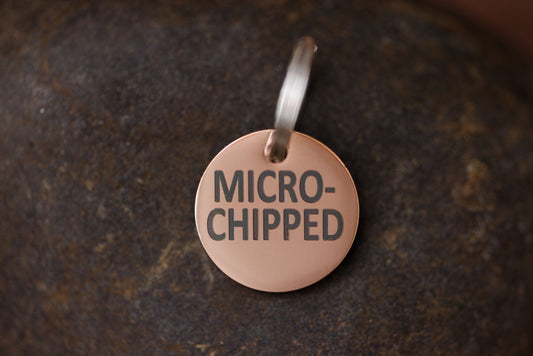 Stainless Steel "MICROCHIPPED" and "I'm Chipped" tags