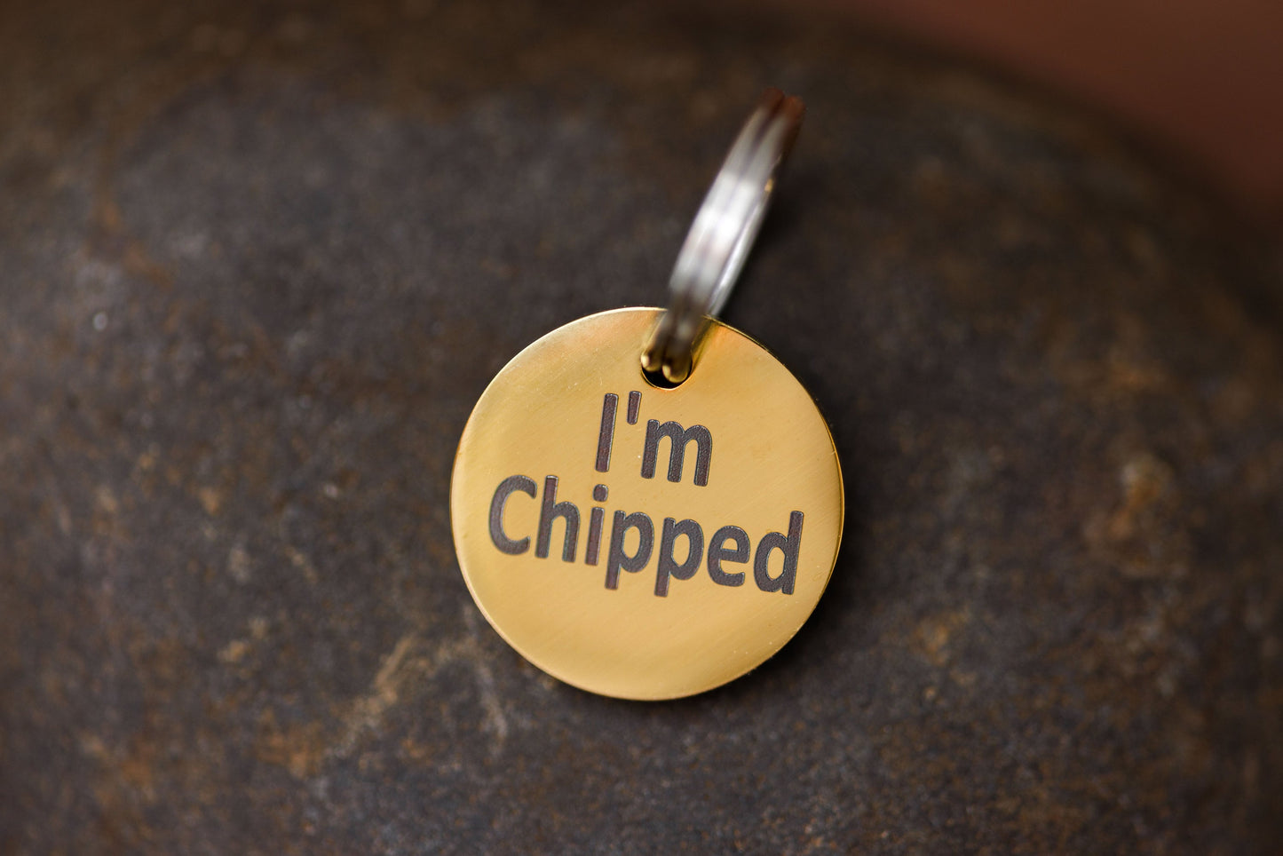 Stainless Steel "MICROCHIPPED" and "I'm Chipped" tags