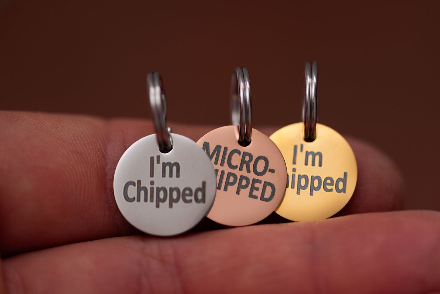 Stainless Steel "MICROCHIPPED" and "I'm Chipped" tags